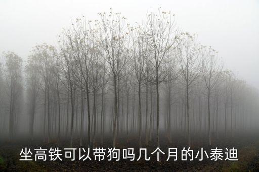 坐高鐵可以帶狗嗎幾個月的小泰迪