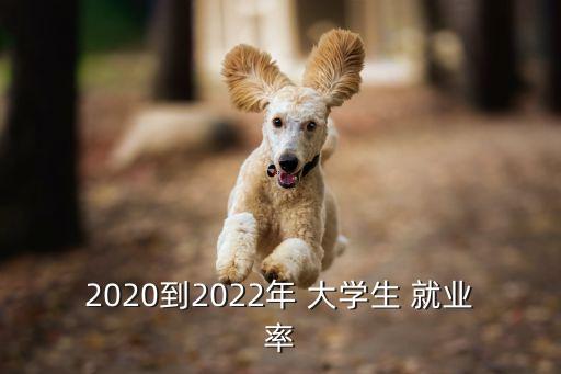 大學(xué)生就業(yè)率多少,2022年大學(xué)生就業(yè)率多少