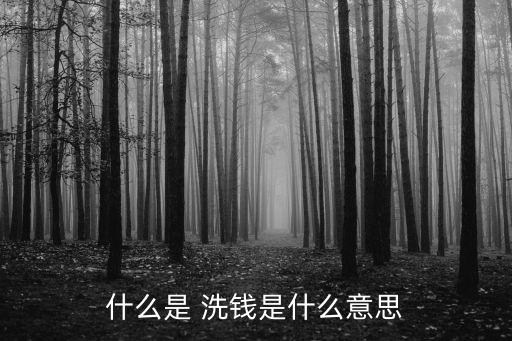 洗錢什么意思,注冊公司洗錢什么意思