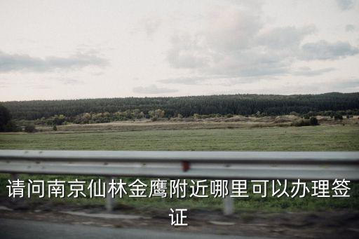 請問南京仙林金鷹附近哪里可以辦理簽證