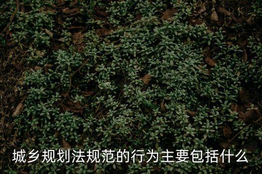 城市規(guī)劃法，中華人民共和國(guó)城鄉(xiāng)規(guī)劃法第六十四條