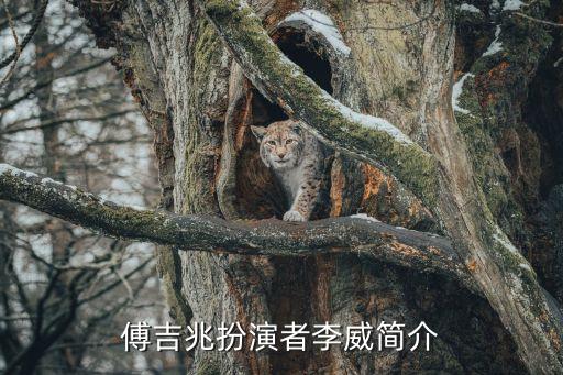 傅老三，賭城大亨中的傅老喳是誰