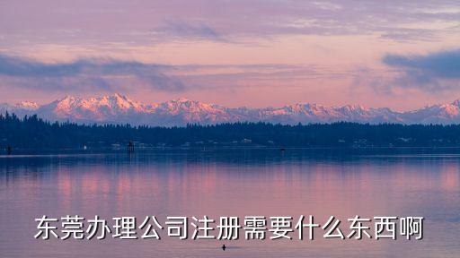 東莞工商注冊，在東莞市注冊公司要什么程序