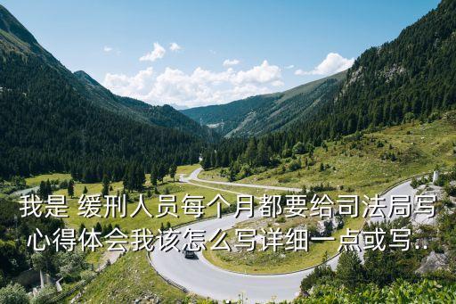 我是 緩刑人員每個(gè)月都要給司法局寫心得體會(huì)我該怎么寫詳細(xì)一點(diǎn)或?qū)?..