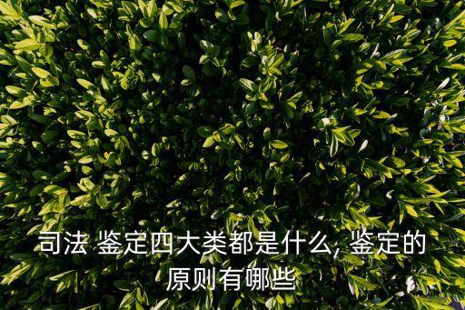 司法 鑒定四大類都是什么, 鑒定的原則有哪些
