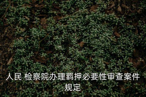 人民 檢察院辦理羈押必要性審查案件規(guī)定