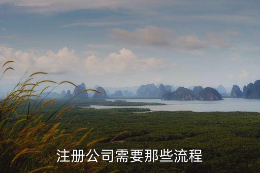注冊(cè)公司的流程，注冊(cè)公司的流程