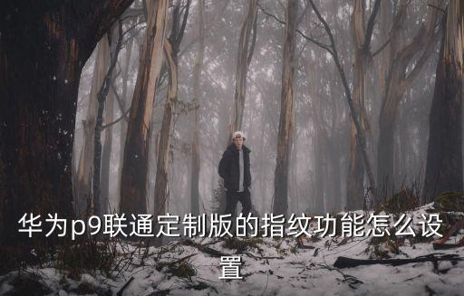 華為p9聯(lián)通定制版的指紋功能怎么設(shè)置