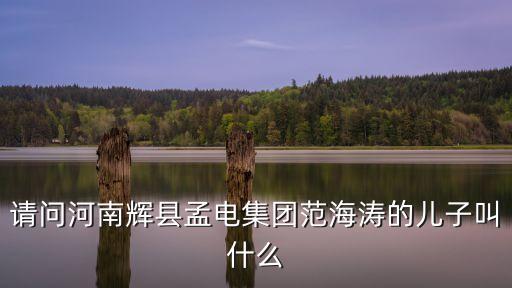 請(qǐng)問(wèn)河南輝縣孟電集團(tuán)范海濤的兒子叫什么