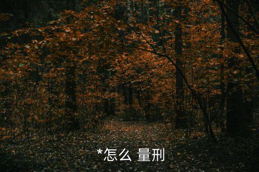  *怎么 量刑