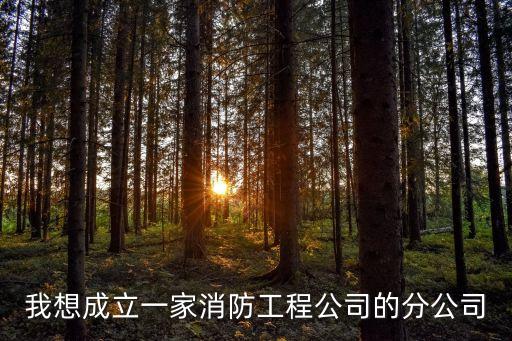 我想成立一家消防工程公司的分公司