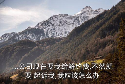 ...公司現(xiàn)在要我給解約費,不然就要 起訴我,我應(yīng)該怎么辦