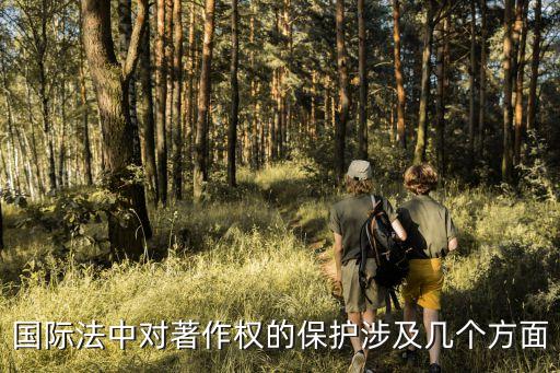 世界版權(quán)公約，請問世界版權(quán)公約是誰定制的呢