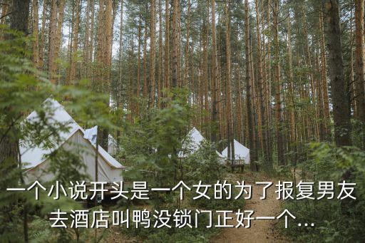 一個(gè)小說(shuō)開(kāi)頭是一個(gè)女的為了報(bào)復(fù)男友去酒店叫鴨沒(méi)鎖門正好一個(gè)...