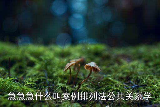 急急急什么叫案例排列法公共關系學
