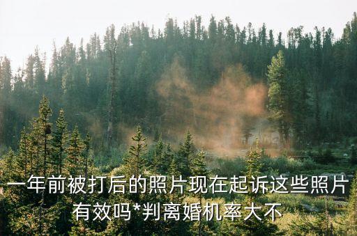 一年前被打后的照片現在起訴這些照片有效嗎*判離婚機率大不
