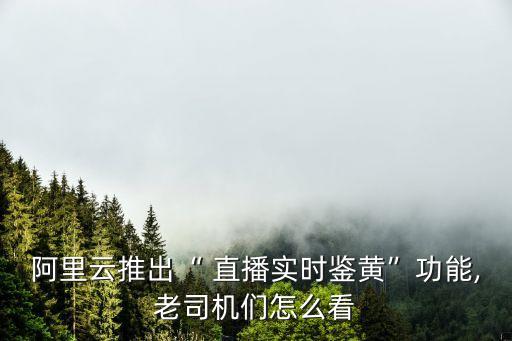 阿里云推出“ 直播實(shí)時(shí)鑒黃”功能,老司機(jī)們怎么看