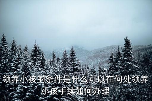 領(lǐng)養(yǎng)小孩的條件是什么可以在何處領(lǐng)養(yǎng)小孩手續(xù)如何辦理