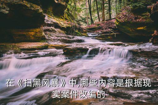 在《掃黑風(fēng)暴》中,哪些內(nèi)容是根據(jù)現(xiàn)實(shí)案件改編的