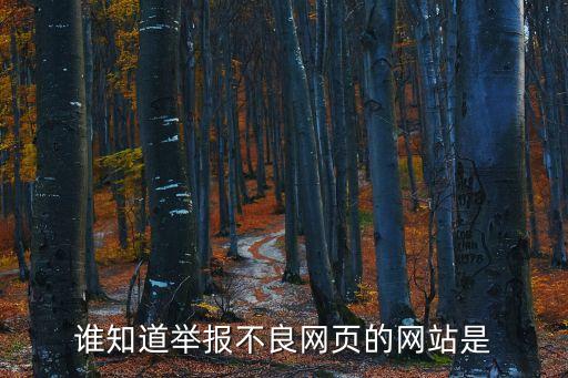 誰知道舉報不良網(wǎng)頁的網(wǎng)站是