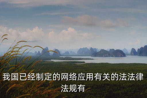 我國已經制定的網絡應用有關的法法律法規(guī)有
