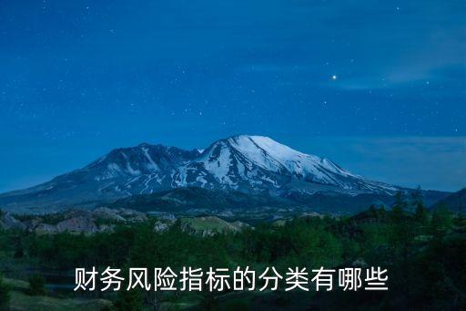 財(cái)務(wù)風(fēng)險(xiǎn)指標(biāo)的分類有哪些
