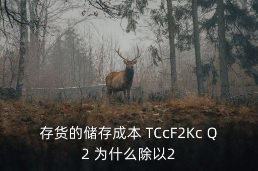 存貨的儲(chǔ)存成本 TCcF2Kc Q2 為什么除以2