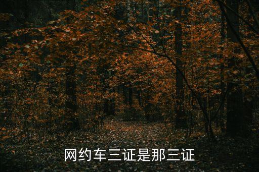 網(wǎng)約車三證是那三證