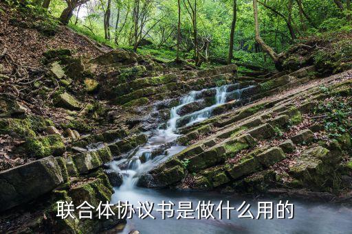 聯(lián)合體協(xié)議書，聯(lián)合協(xié)議怎么寫