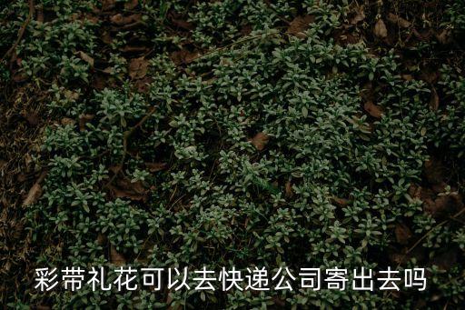煙花可以快遞嗎，彩帶禮花可以去快遞公司寄出去嗎