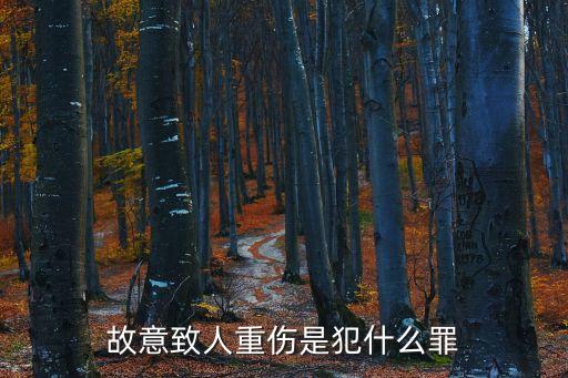 故意致人重傷是犯什么罪