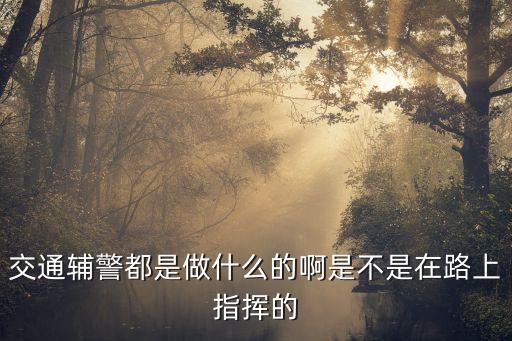 什么是輔警，交通輔警都是做什么的啊是不是在路上指揮的