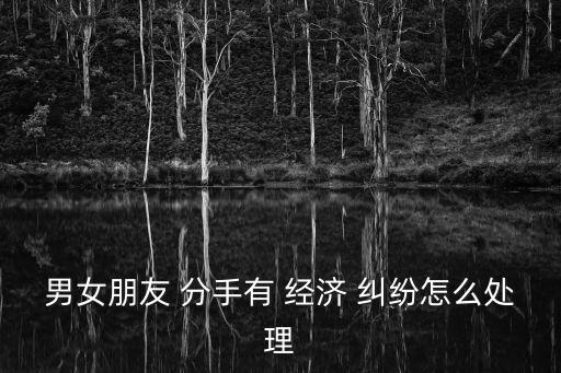 男女朋友 分手有 經(jīng)濟(jì) 糾紛怎么處理