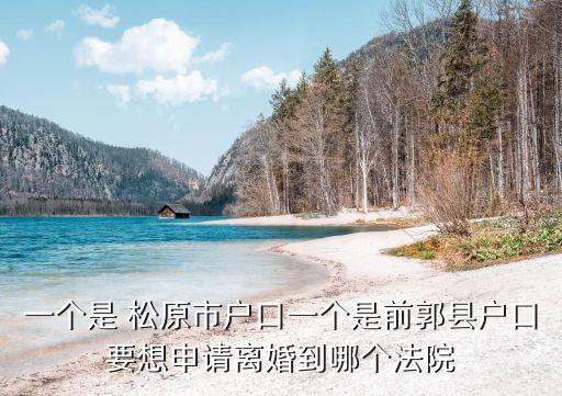 一個是 松原市戶口一個是前郭縣戶口要想申請離婚到哪個法院