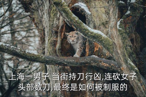 當(dāng)街殺人,當(dāng)街砍人怎么判