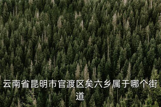 矣六街道，昆明市矣六派出所的電話是多少急求