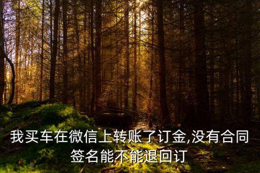 合同法第116條