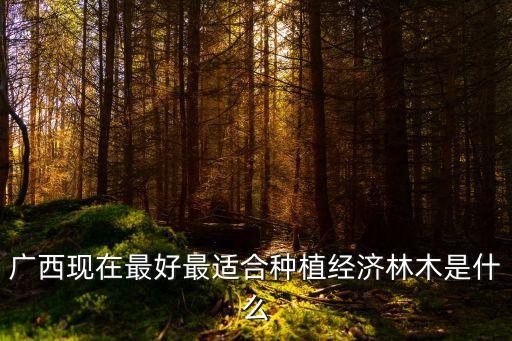 經(jīng)濟(jì)林木，枇杷樹(shù)是經(jīng)濟(jì)林木嗎
