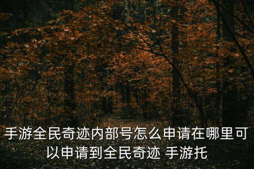 手游托