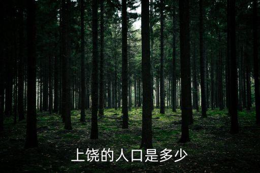 上饒的人口是多少