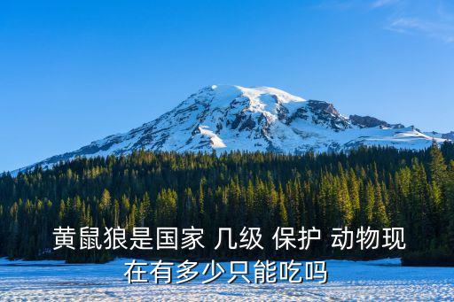  黃鼠狼是國家 幾級 保護(hù) 動物現(xiàn)在有多少只能吃嗎