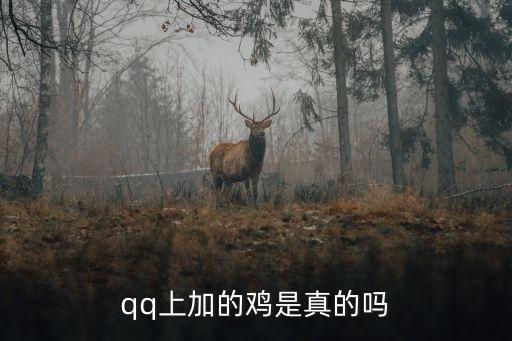 qq上加的雞是真的嗎