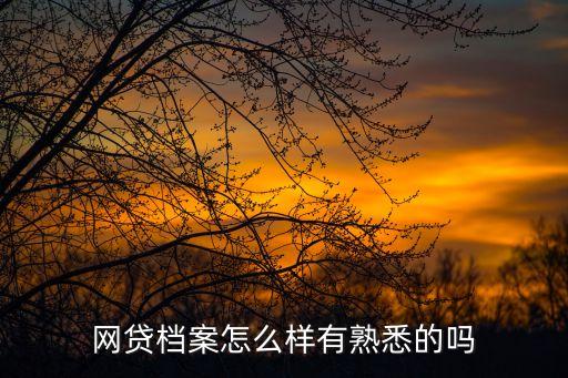 網(wǎng)貸檔案，網(wǎng)貸檔案怎么樣有熟悉的嗎