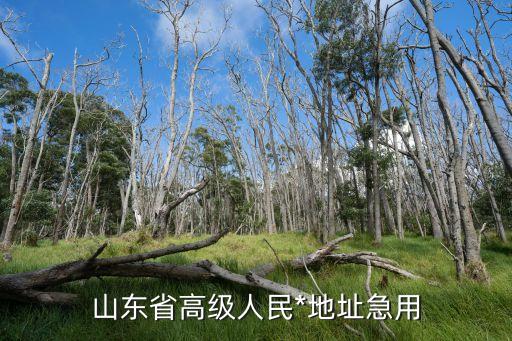 山東法網(wǎng)，法網(wǎng)是今晚幾點