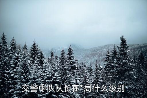 交警中隊(duì)，請(qǐng)問(wèn)昆明市*局交通警察支隊(duì)十大隊(duì)二中隊(duì)在哪