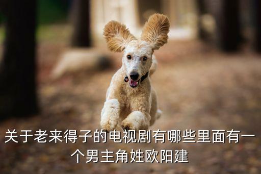關(guān)于老來得子的電視劇有哪些里面有一個男主角姓歐陽建