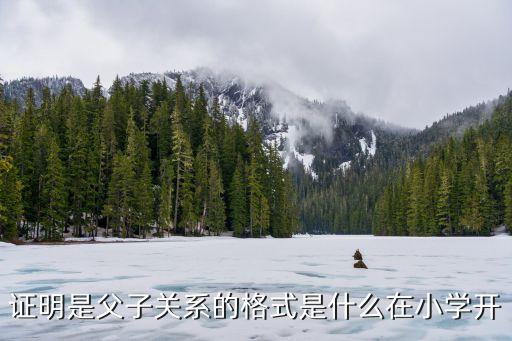 證明是父子關(guān)系的格式是什么在小學(xué)開