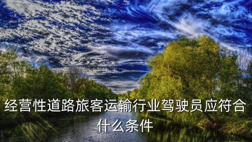 經(jīng)營性道路旅客運輸行業(yè)駕駛員應符合什么條件