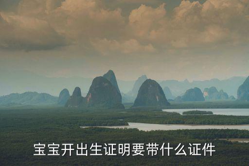 寶寶開出生證明要帶什么證件