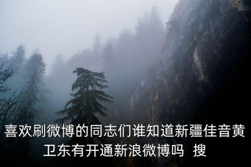 喜歡刷微博的同志們誰知道新疆佳音黃衛(wèi)東有開通新浪微博嗎  搜